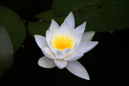 揭秘加拿大PC28玩法：探索奖金彩票的独特魅力